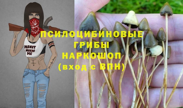 герыч Абдулино