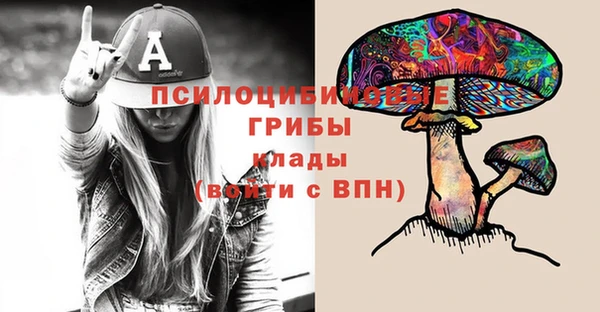 ГАЛЛЮЦИНОГЕННЫЕ ГРИБЫ Абинск