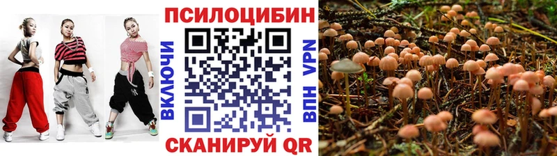 Псилоцибиновые грибы мицелий  где продают   Гусиноозёрск 