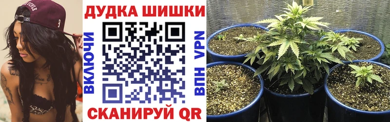 Канабис семена  где можно купить   Гусиноозёрск 